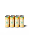 Pineapple & Lemongrass Tequila Spritz 12x250ml